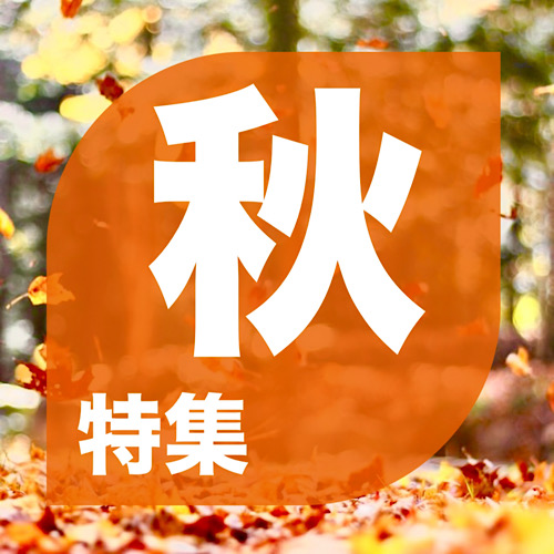 特集画像