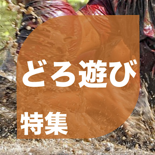 特集画像